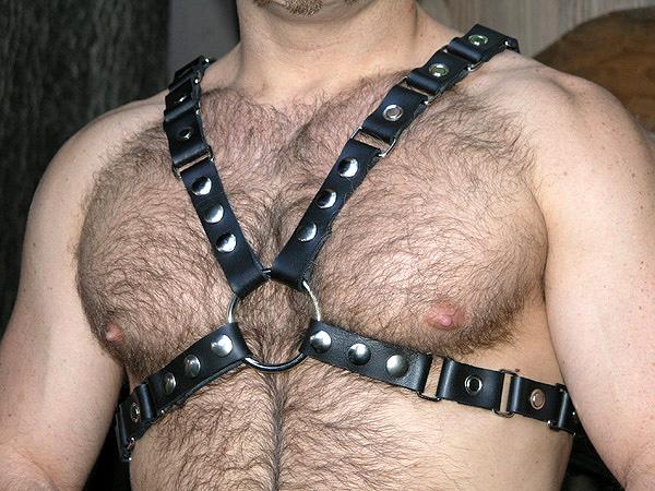 LM 200132 1" LINK BLOCK HARNESS