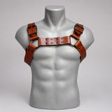 LM200390 GEARKC LATIGO BULLDOG HARNESS