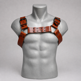 LM200390 GEARKC LATIGO BULLDOG HARNESS