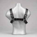 LM200390 GEARKC LATIGO BULLDOG HARNESS