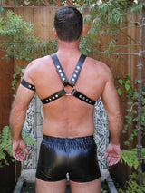 LM 200142 1" SEWN X HARNESS