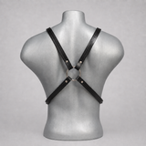 LM606215 GEARKC LATIGO NARROW X-HARNESS